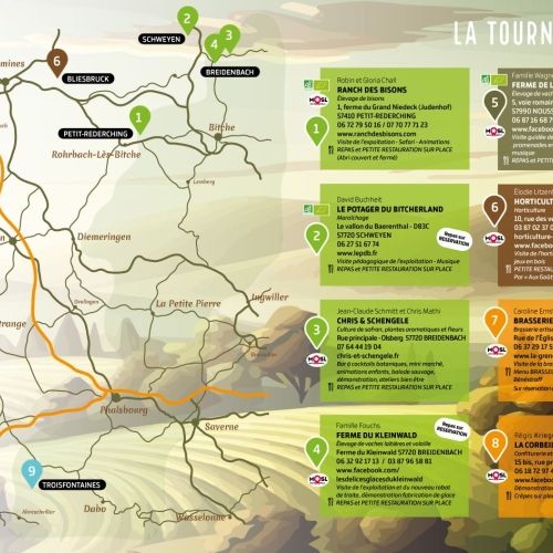 La tournée des fermes 2024 s'arrête à Bliesbruck à l'Horticulture Litzenburger